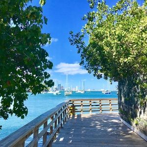 Meet your Posher, Dylan